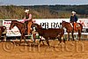 QH062_1284n.jpg