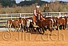 QH062_1285n.jpg