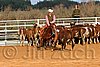 QH062_1286n.jpg