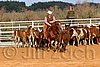 QH062_1287n.jpg