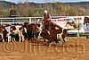 QH062_1293n.jpg