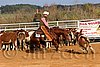 QH062_1300n.jpg