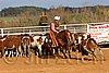 QH062_1301n.jpg