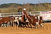 QH062_1302n.jpg