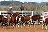 QH062_1304n.jpg