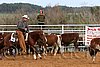QH062_1305n.jpg