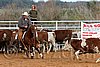 QH062_1306n.jpg