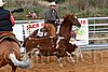 QH062_1312n.jpg