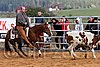 QH062_1314n.jpg