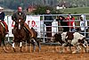 QH062_1316n.jpg