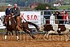 QH062_1317n.jpg