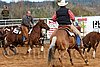 QH062_1325n.jpg