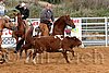 QH062_1331n.jpg