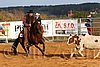 QH062_1342n.jpg