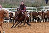 QH062_1350n.jpg