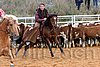 QH062_1351n.jpg