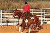 QH062_1357n.jpg