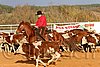 QH062_1362n.jpg