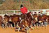 QH062_1365n.jpg