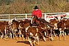 QH062_1366n.jpg
