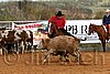 QH062_1377n.jpg