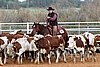 QH062_1379n.jpg