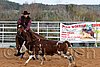 QH062_1388n.jpg
