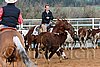 QH062_1403n.jpg