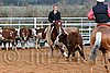 QH062_1404n.jpg