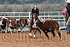 QH062_1405n.jpg