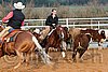 QH062_1410n.jpg