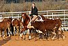QH062_1420n.jpg