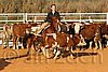 QH062_1425n.jpg