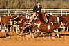 QH062_1426n.jpg