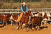 QH062_1434n.jpg