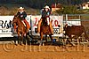 QH062_1436n.jpg