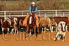 QH062_1440n.jpg