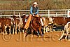 QH062_1445n.jpg