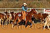 QH062_1446n.jpg