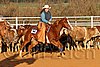 QH062_1448n.jpg