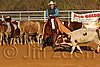 QH062_1451n.jpg