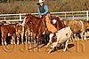 QH062_1452n.jpg