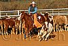 QH062_1453n.jpg