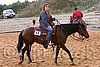 QH062_1465n.jpg
