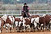 QH062_1466n.jpg