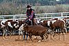 QH062_1472n.jpg