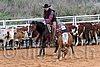 QH062_1473n.jpg