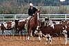 QH062_1502n.jpg