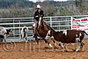 QH062_1503n.jpg