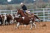 QH062_1504n.jpg